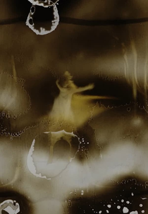 Wild Girl (Wild Girl)