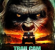 Trail Cam Sasquatch
