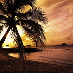 Foto de perfil de Natália Maidana