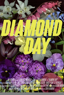 Diamond Day - Poster / Capa / Cartaz - Oficial 1