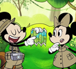 Rainforest Hunt