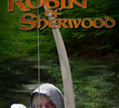 Robin de Sherwood (1 temporada)