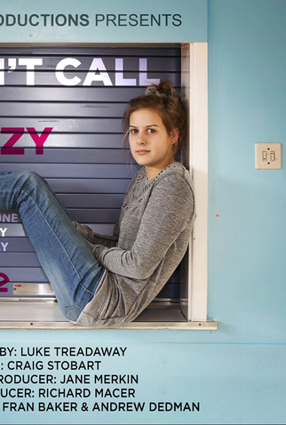 Poster 1 de TV Don't Call Me Crazy (2013)