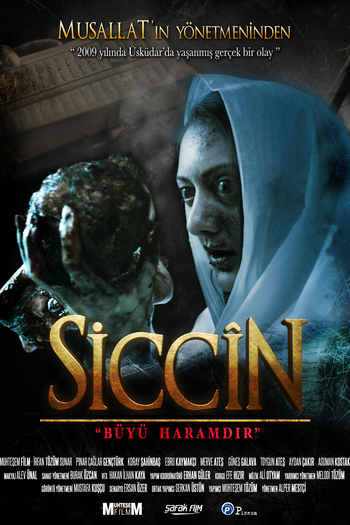 Poster de Filme Siccîn (2014)