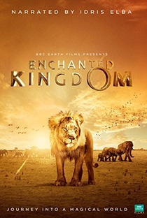 Enchanted Kingdom - Poster / Capa / Cartaz - Oficial 1