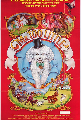 Poster 1 de Filme Mr. Too Little (1978)