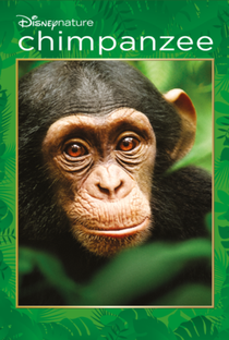 Chimpanzé - Poster / Capa / Cartaz - Oficial 3