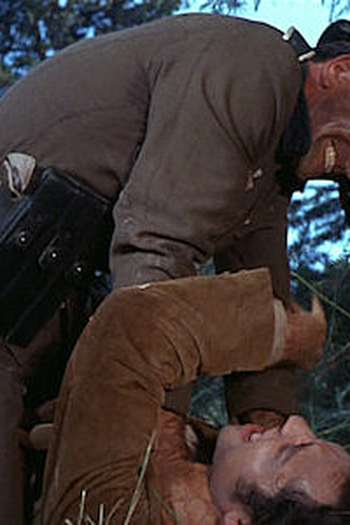 Poster de Episódio The Brothers (1966)