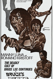 O Segredo de Bruce Lee - Poster / Capa / Cartaz - Oficial 4