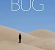 Bug