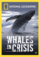 Baleias em Perigo (Whales in Crisis)