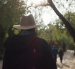 Vol. 2: Enrique Olvera