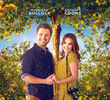 Love Under the Lemon Tree