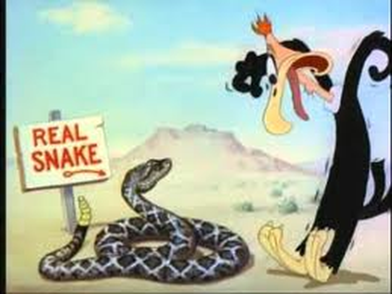 Foto 2 de What's Buzzin' Buzzard?