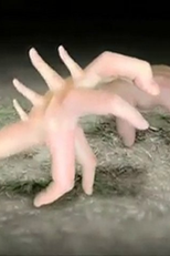 Walks of Life (Walks of Life)