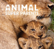 Animal Super Parents