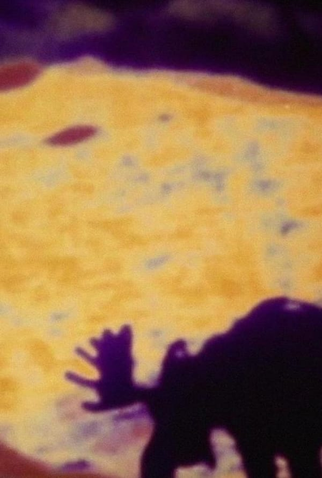 Poster 1 de Curta Moose Mountain (2002)