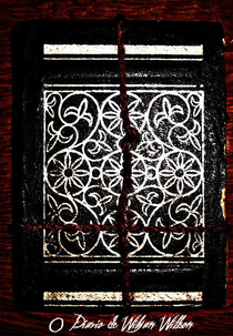 O Diário de Wilyan Willson (O Diário de Wilyan Willson)