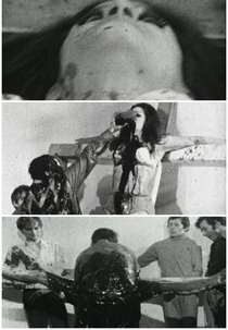 Maria-Conception-Action: Hermann Nitsch (Maria-Empfängnis-Aktion Hermann Nitsch)