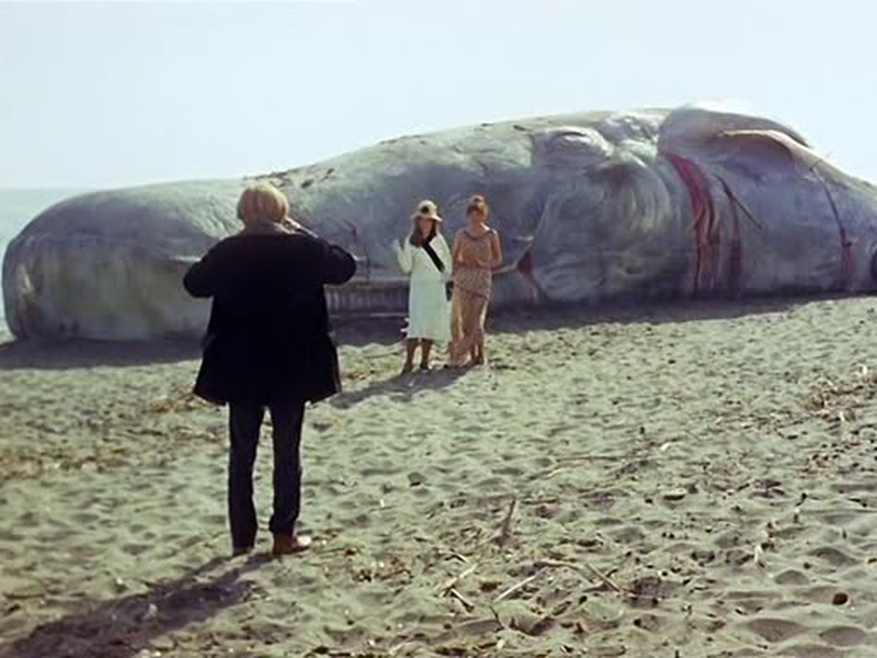 Foto 1 de A Semente do Homem