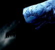 Mega Shark vs. Moby Dick