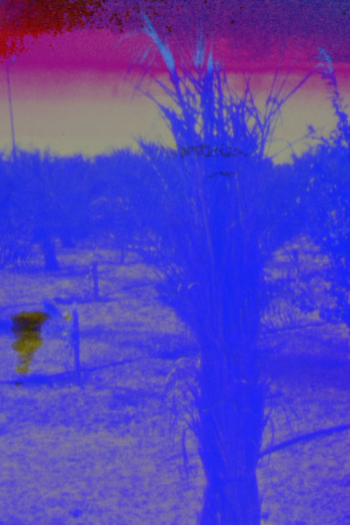  de Curta Deep Sleep (2014)