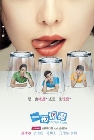 Poster 2 de Filme One Night Surprise (2013)