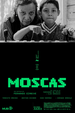 Moscas (Moscas)
