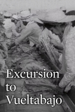 Excursão a Vueltabajo (Excursión a Vueltabajo)