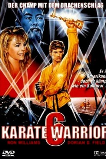 Poster de Filme Karate warrior 6 (1993)