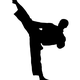 luisfernandosilva376258