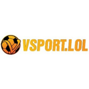 Foto de perfil de Vsport