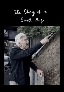 The Story of a Small Bug (The Story of a Small Bug)