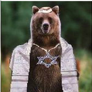 Foto de perfil de Jewish Bear