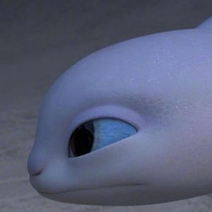 Foto de perfil de Amanda Taeli