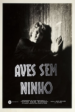 Aves Sem Ninho (Aves Sem Ninho)