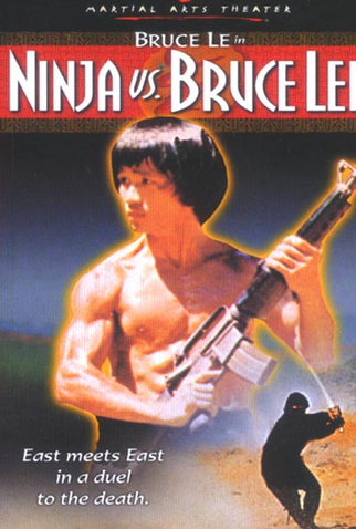 Poster 6 de Filme Return of Bruce (1977)