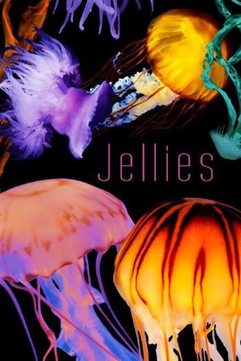  de Filme Jellies (2013)