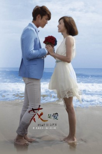 Poster de Série What is Love (2012)