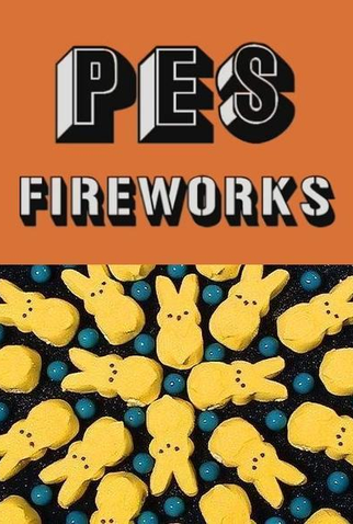 Poster 2 de Curta Fireworks (2009)