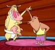 Sumo Cow