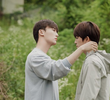6회