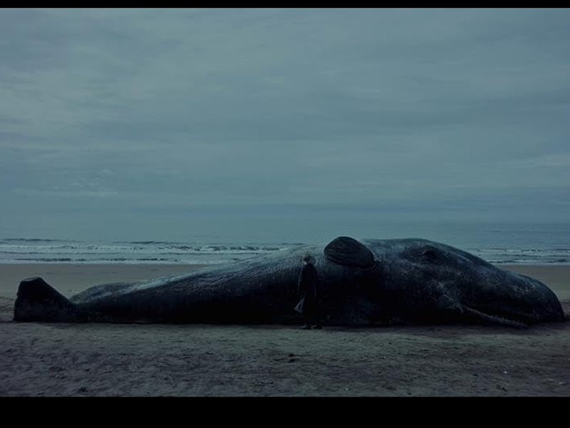 Foto 1 de Una Ballena