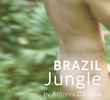 Brazil Jungle
