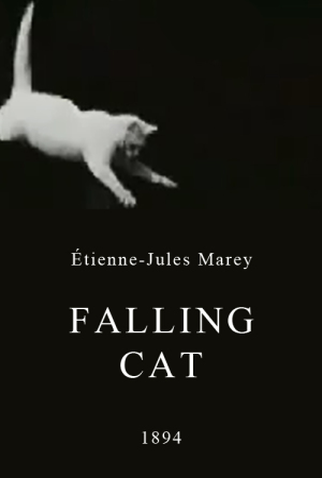 Poster 1 de Curta Falling Cat (1894)