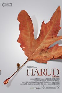 Harud - Poster / Capa / Cartaz - Oficial 1