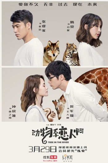  de Série Tree in the River (2018)