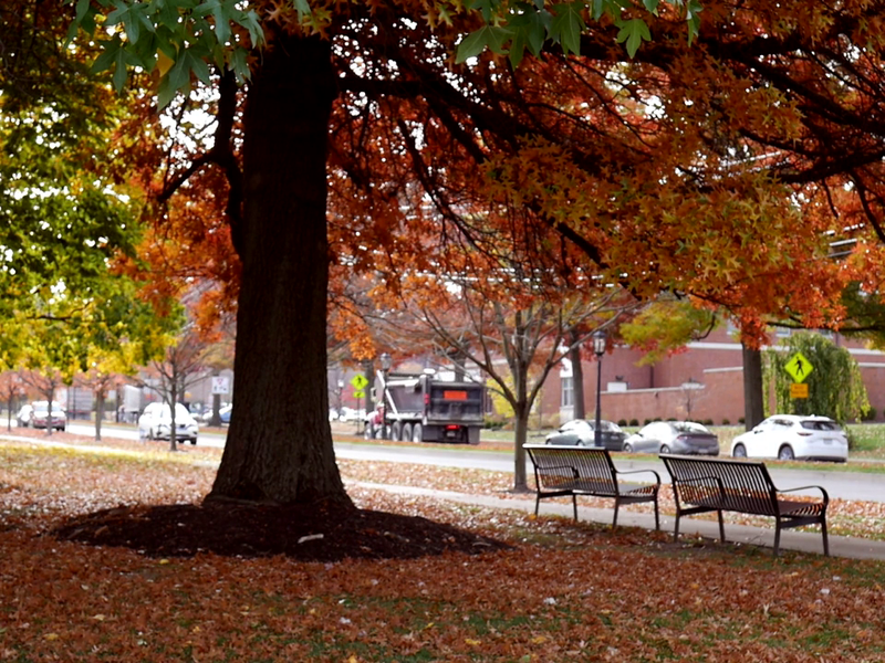 Foto 11 de The Stalking