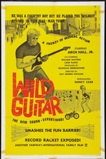 Wild Guitar (Wild Guitar)