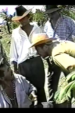 A Moça e o Rapaz Valente (A Moça e o Rapaz Valente)